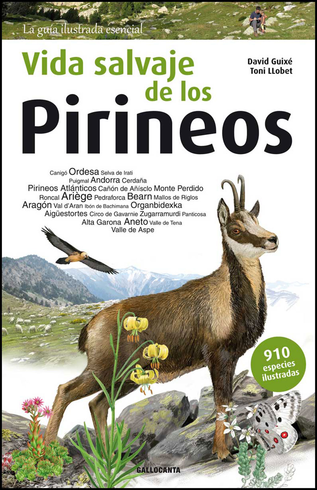 VIDA SALVAJE DE LOS PIRINEOS 1