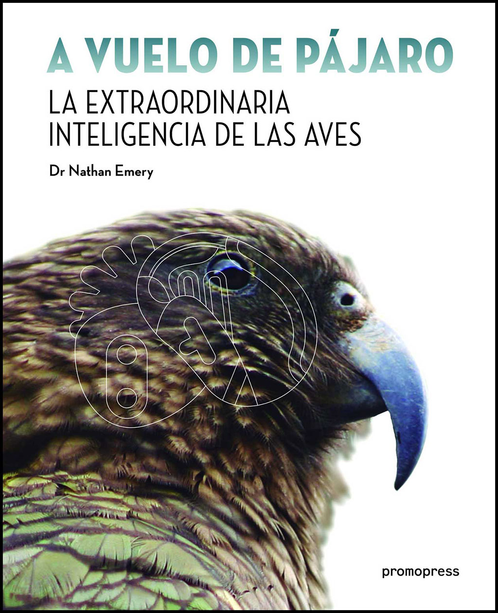 A VUELO DE PÁJARO. LA EXTRAORDINARIA INTELIGENCIA DE LAS AVES 1