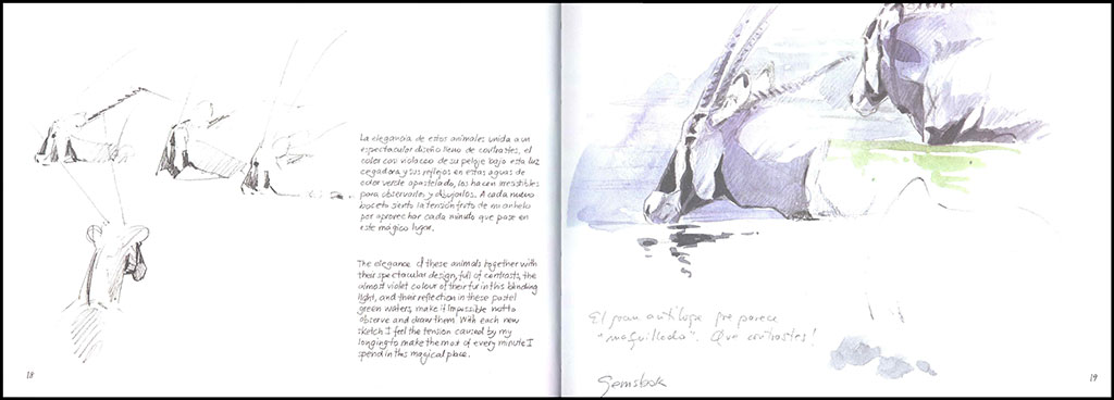 ETOSHA. NAMIBIA. DIBUJANDO LA NATURALEZA AFRICANA 2