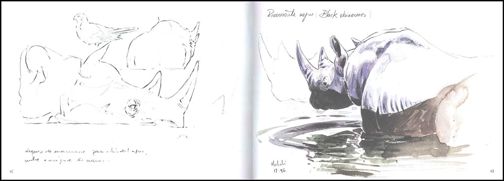 ETOSHA. NAMIBIA. DIBUJANDO LA NATURALEZA AFRICANA 3