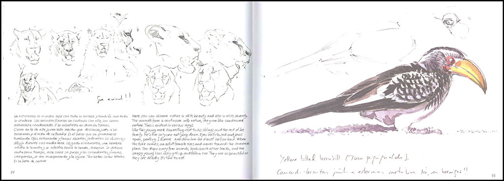 ETOSHA. NAMIBIA. DIBUJANDO LA NATURALEZA AFRICANA 4