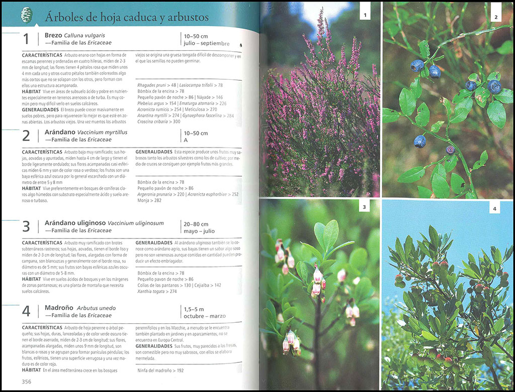 GUÍA DE LAS MARIPOSAS DE EUROPA. MARIPOSAS, ORUGAS Y PLANTAS NUTRICIAS 4