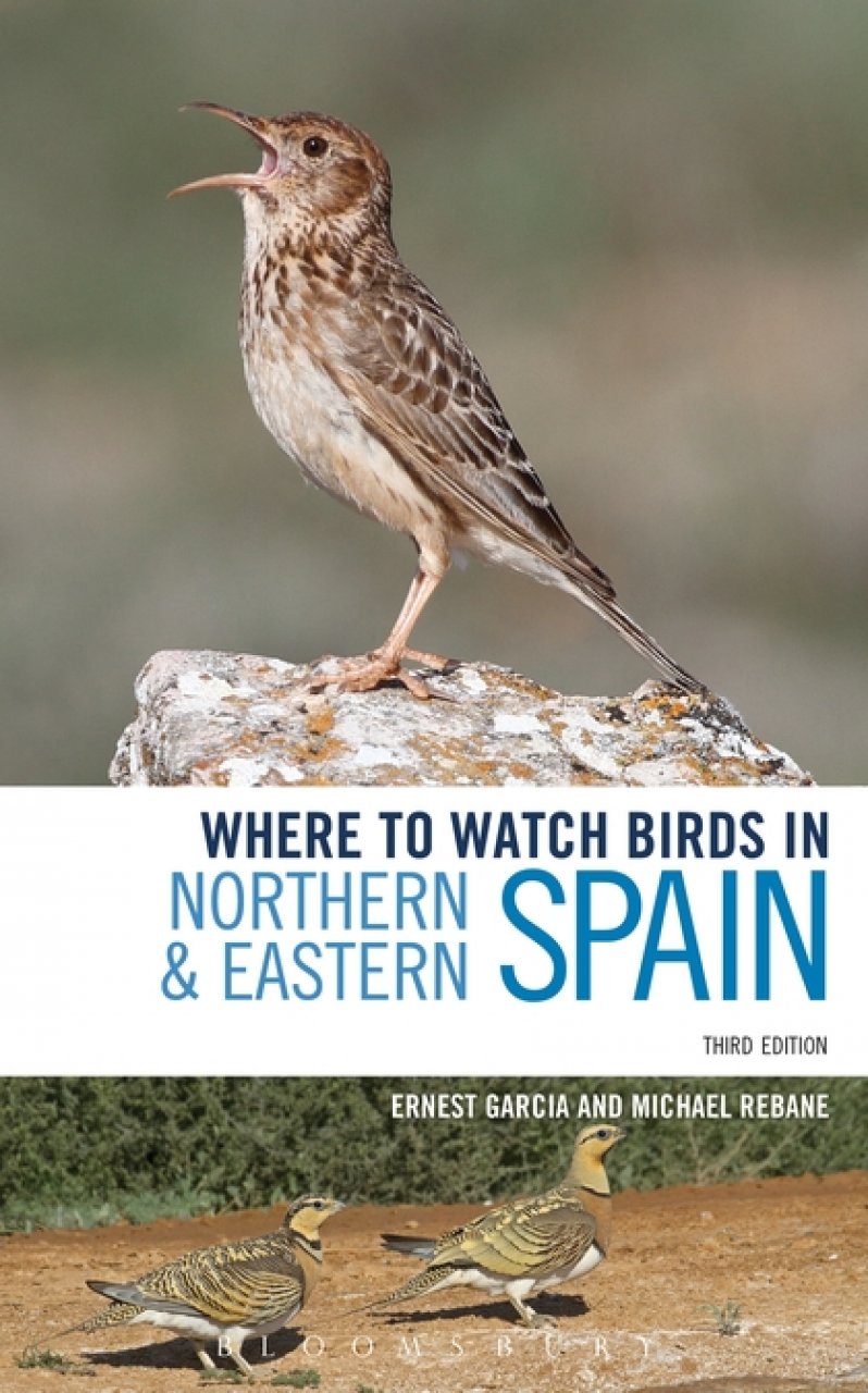 WHERE TO WATCH BIRDS IN NORTHERN & EASTERN SPAIN 1