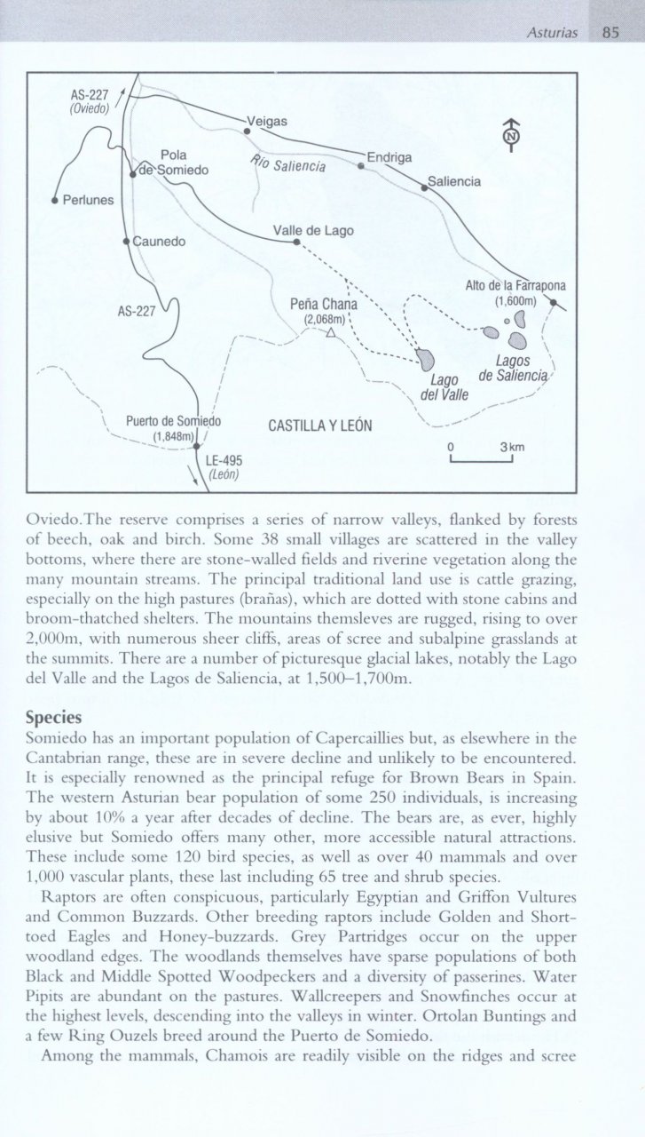 WHERE TO WATCH BIRDS IN NORTHERN & EASTERN SPAIN 3