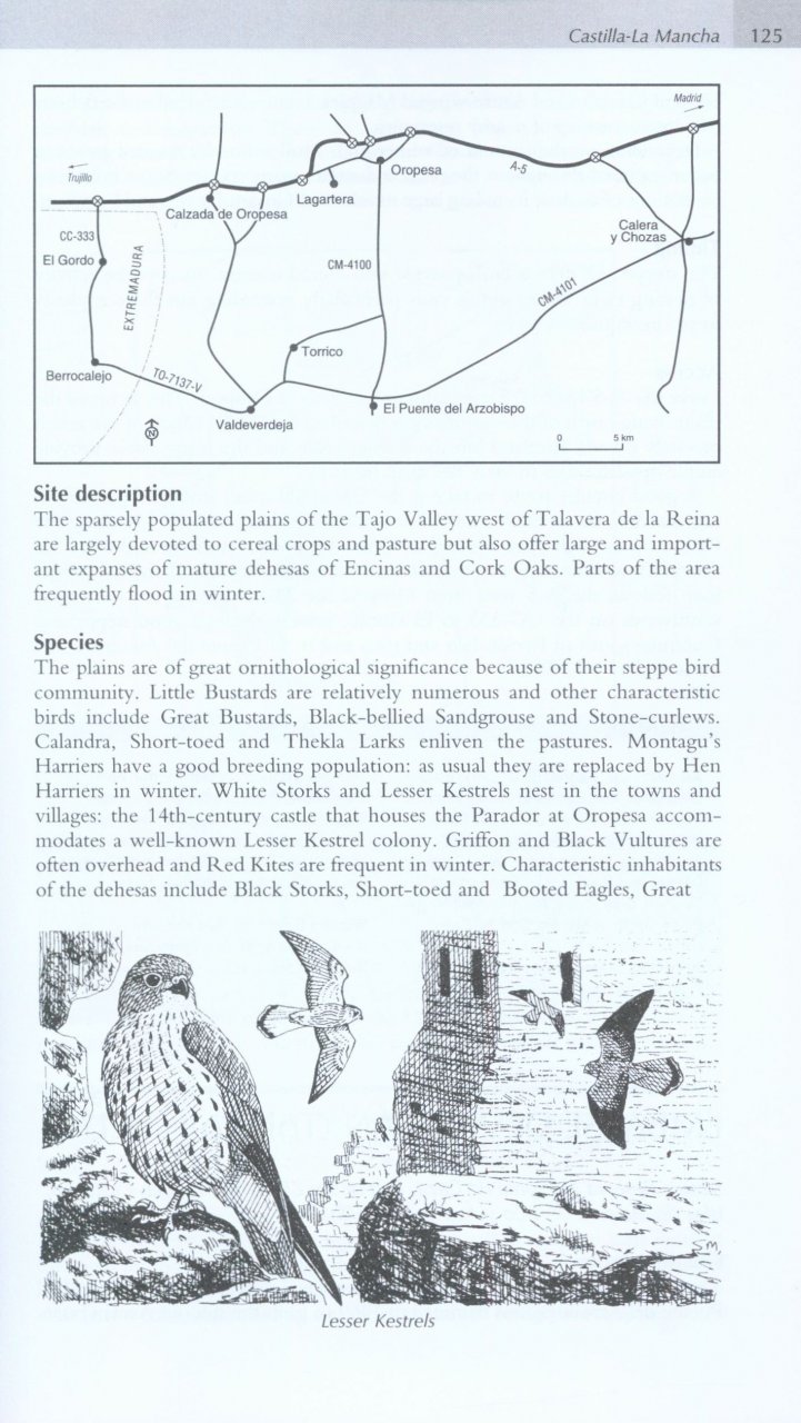 WHERE TO WATCH BIRDS IN NORTHERN & EASTERN SPAIN 4