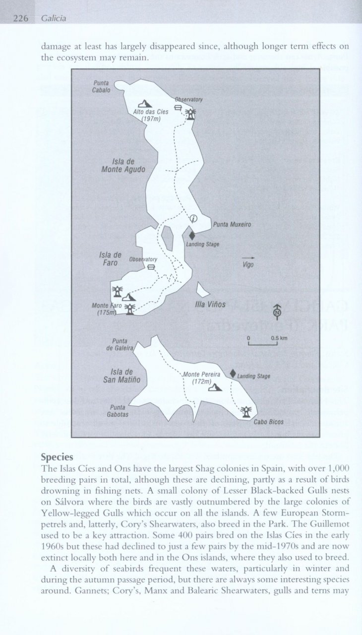 WHERE TO WATCH BIRDS IN NORTHERN & EASTERN SPAIN 6