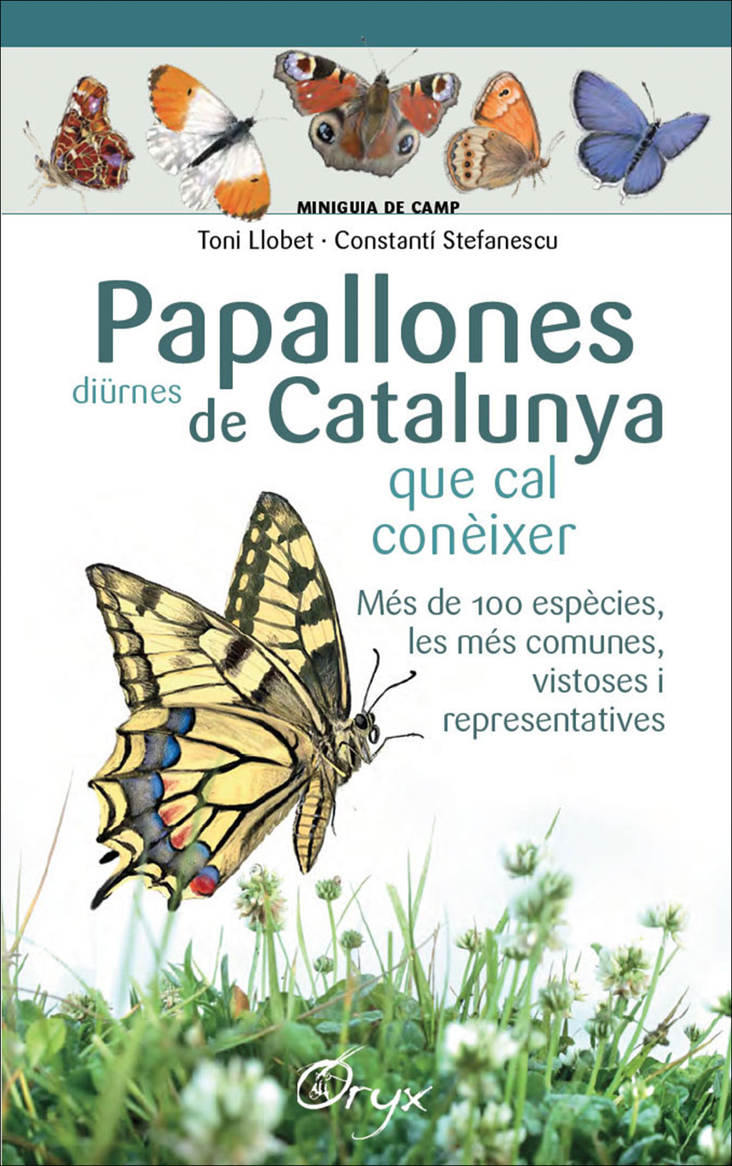 PAPALLONES DIÜRNES DE CATALUNYA QUE CAL CONÈIXER. MINIGUIA DE CAMP 1