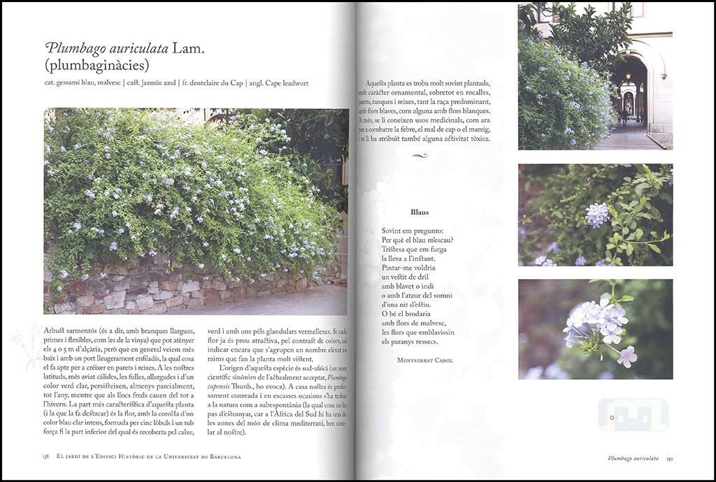 EL JARDÍ DE L'EDIFICI HISTÒRIC DE LA UNIVERSITAT DE BARCELONA. 101 PLANTES PER  A UNA PASSEJADA BOTÀNICA I LITERÀRIA 3