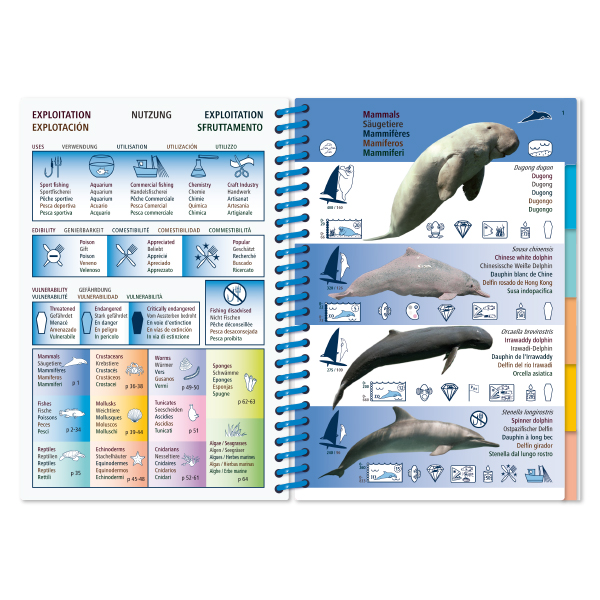 MARINE PICTOLIFE. ASIAN PACIFIC 2