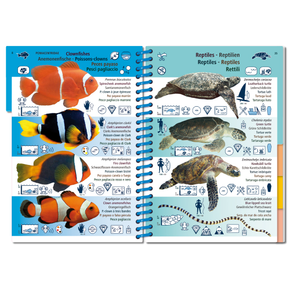 MARINE PICTOLIFE. ASIAN PACIFIC 3