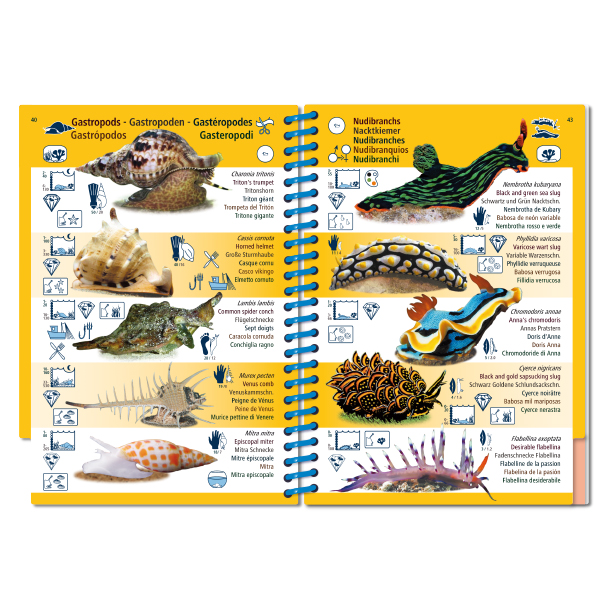 MARINE PICTOLIFE. ASIAN PACIFIC 4