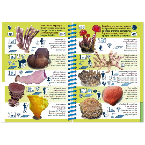 MARINE PICTOLIFE. ASIAN PACIFIC 6