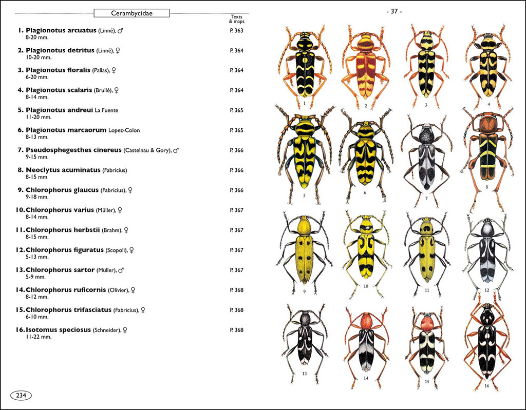 PHYTOPHAGOUS BEETLES OF EUROPE. VOLUME 1- BUPRESTIDAE, ELATERIDAE, CLERIDAE, CERAMBYCIDAE 3