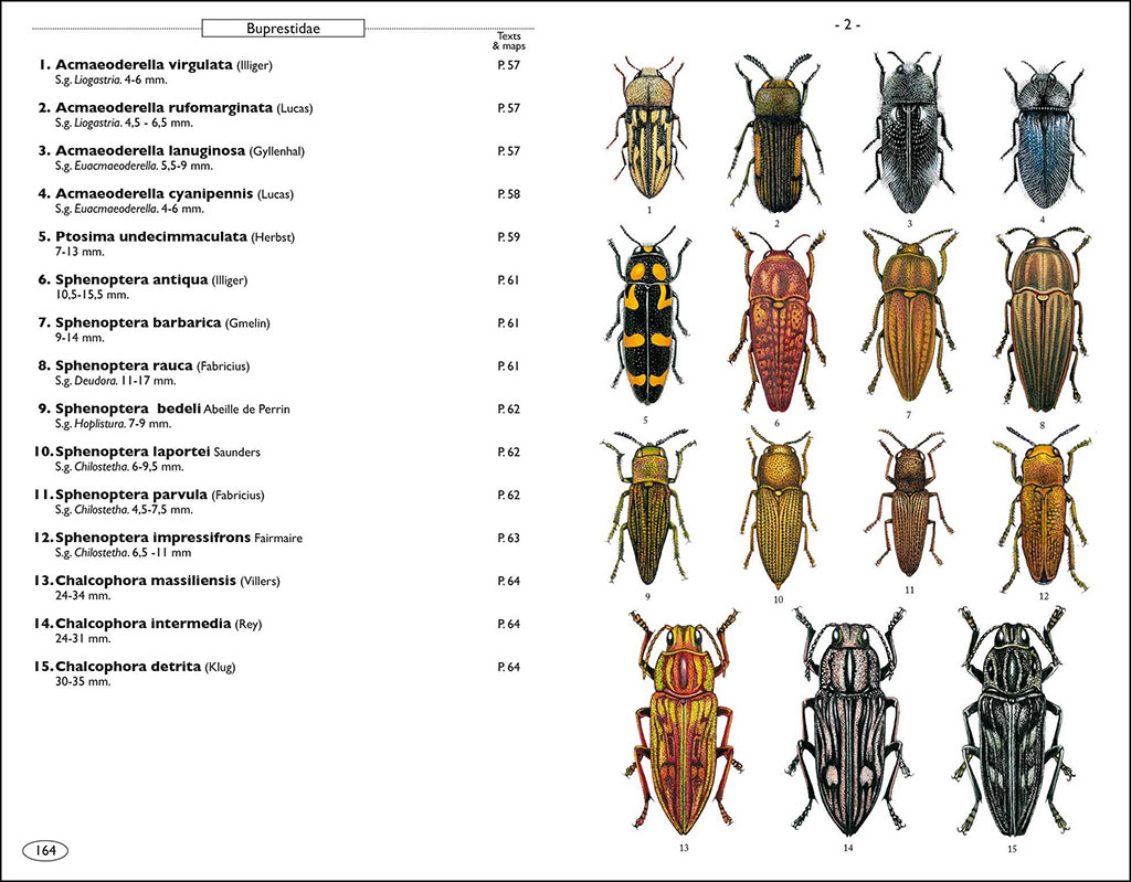 PHYTOPHAGOUS BEETLES OF EUROPE. VOLUME 1- BUPRESTIDAE, ELATERIDAE, CLERIDAE, CERAMBYCIDAE 4