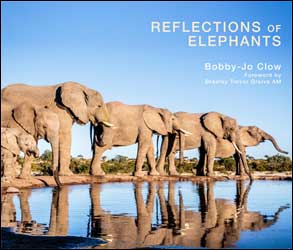 REFLECTIONS OF ELEPHANTS 1