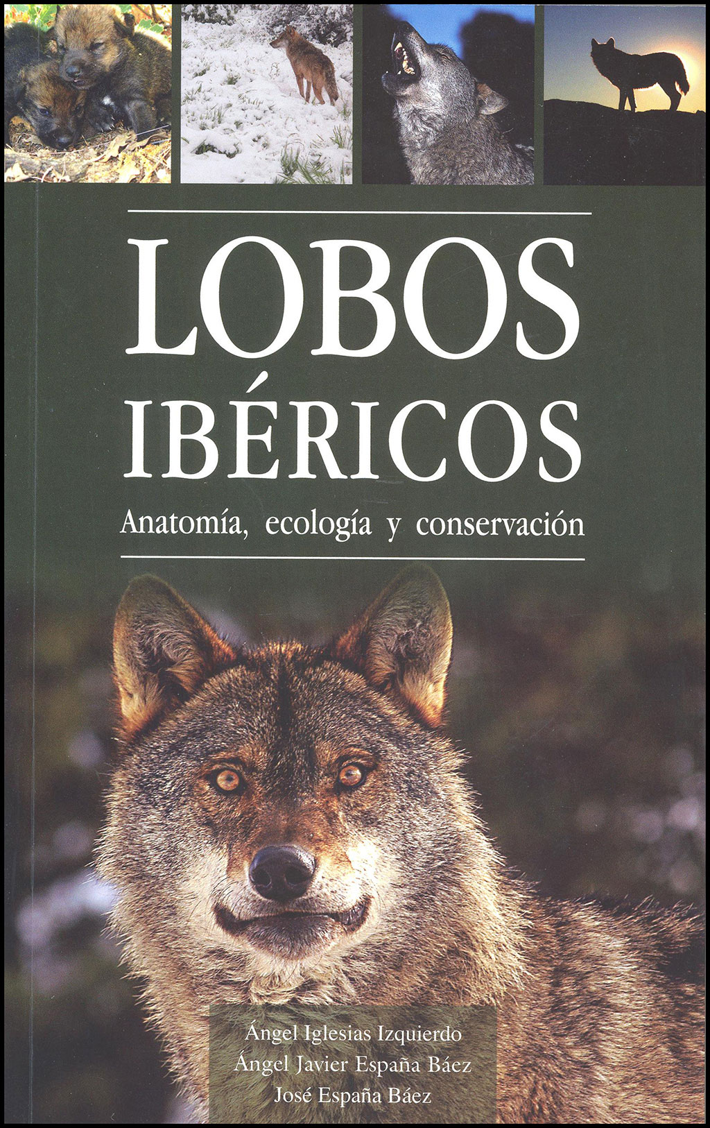 LOBOS IBÉRICOS. ANATOMÍA, ECOLOGÍA Y CONSERVACIÓN.  INDICIOS DE PRESENCIA

(PACK DOS VOLÚMENES) 1