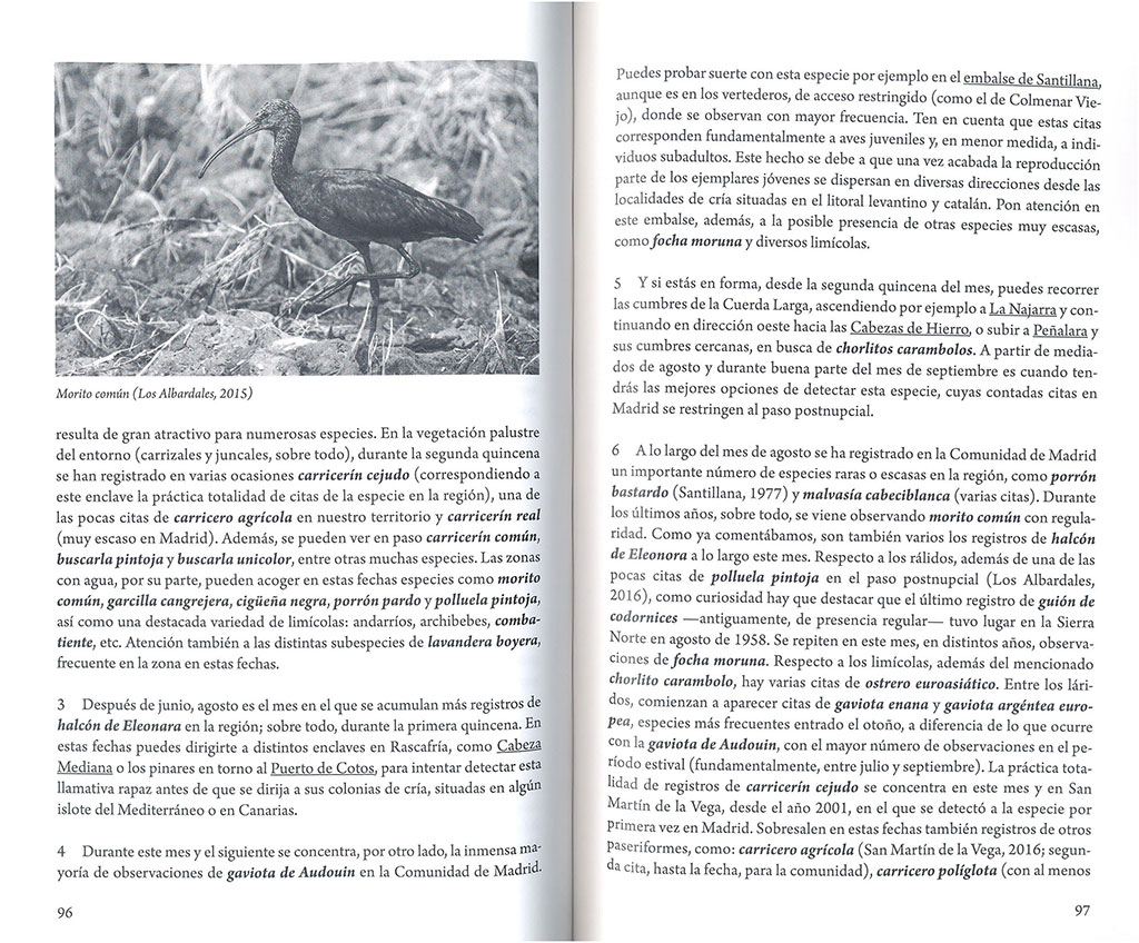 CUÁNDO Y DÓNDE VER AVES EN MADRID 4