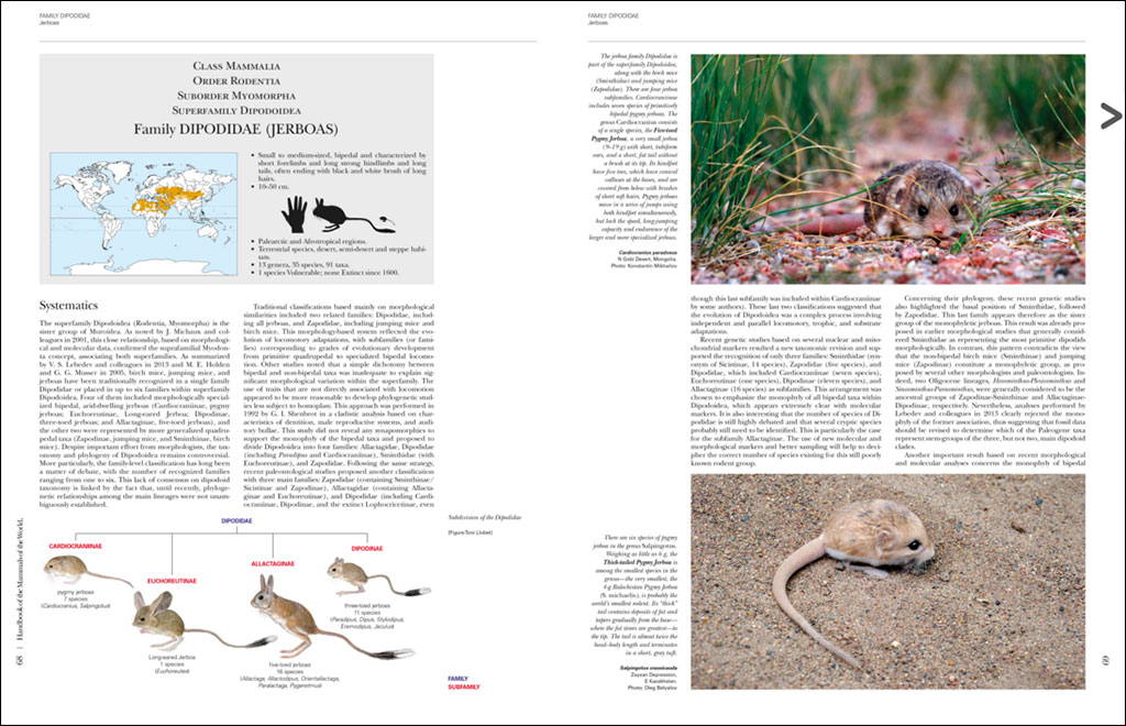 HANDBOOK OF THE MAMMALS OF THE WORLD. VOL. 7 RODENTS II 4
