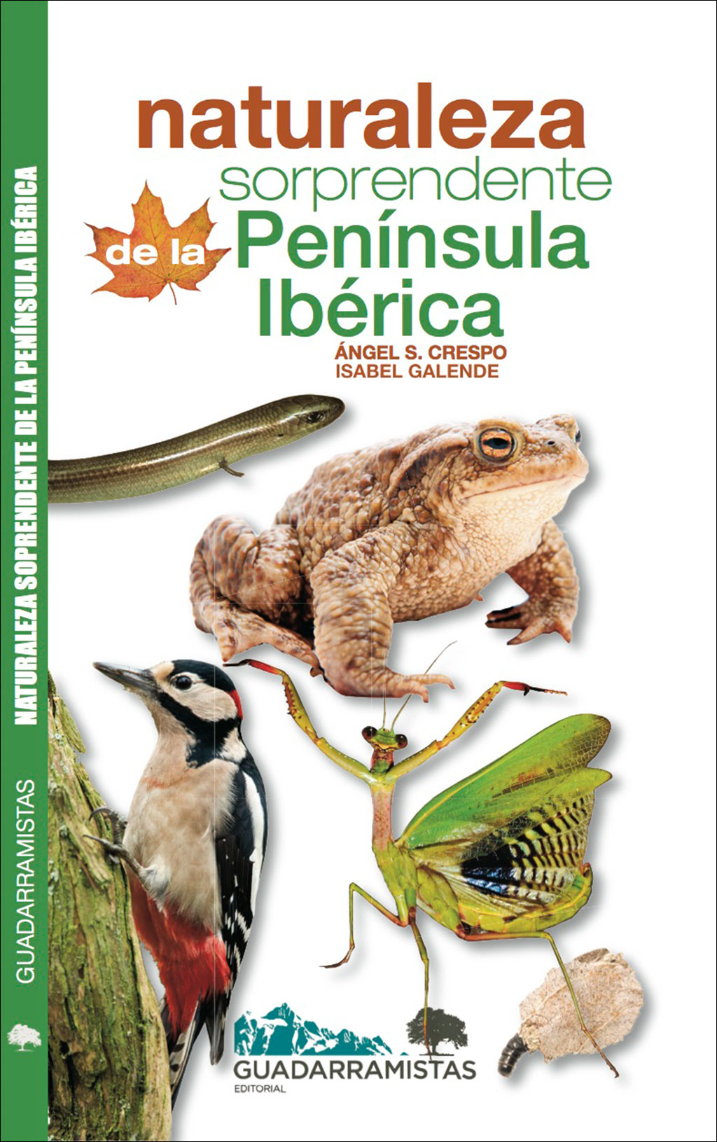 NATURALEZA SORPRENDENTE DE LA PENÍNSULA IBÉRICA 1