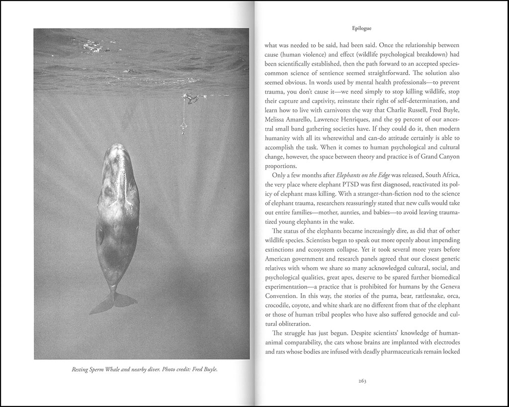 CARNIVORE MINDS. WHO THESE FEARSOME ANIMALS REALLY ARE 2