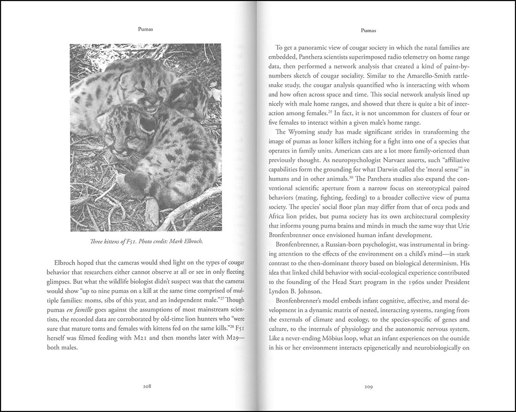 CARNIVORE MINDS. WHO THESE FEARSOME ANIMALS REALLY ARE 3