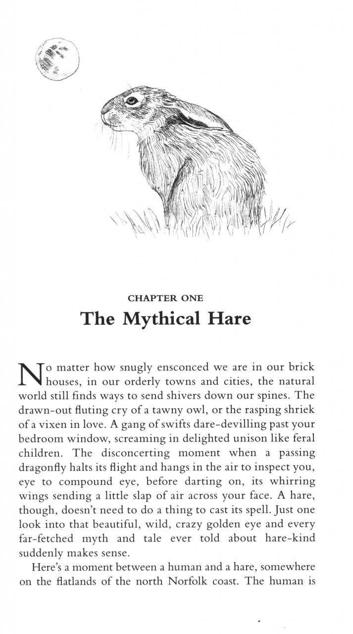 THE WAY OF THE HARE 2