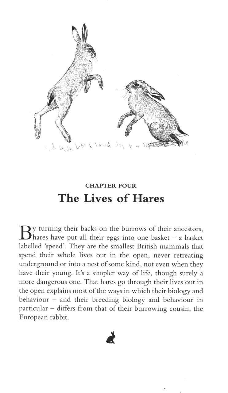 THE WAY OF THE HARE 3