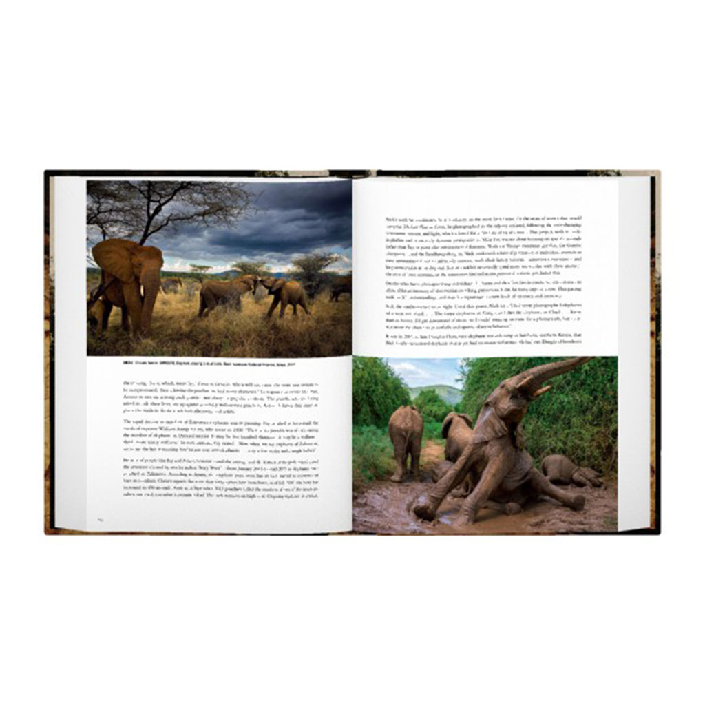 A WILD LIFE. A VISUAL BIOGRAPHY OF PHOTOGRAPHER MICHAEL NICHOLS 3
