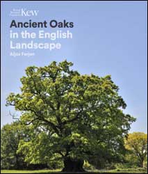 ANCIENT OAKS IN THE ENGLISH LANDSCAPE 1