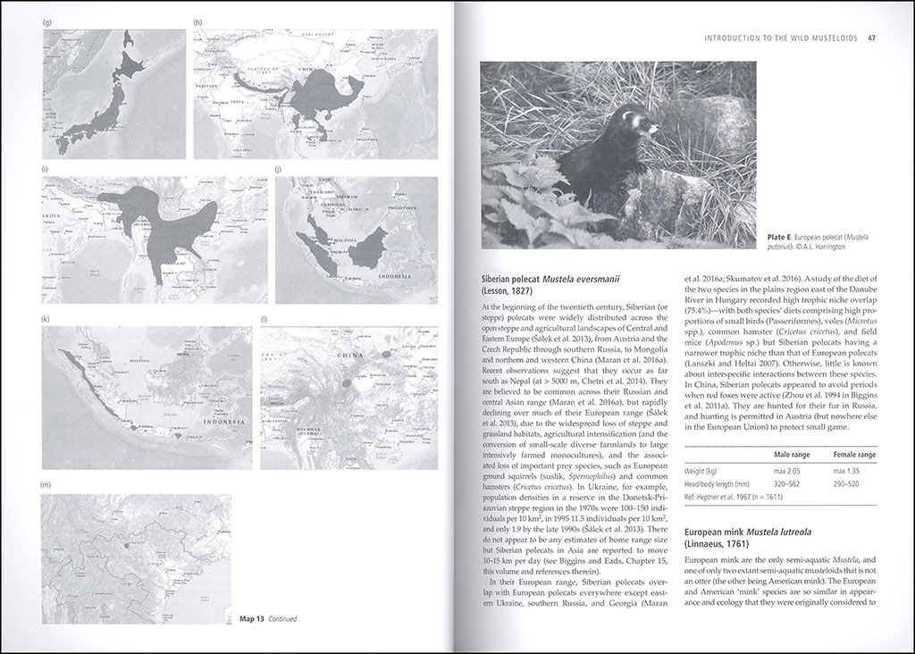 BIOLOGY AND CONSERVATION OF MUSTELOIDS 2
