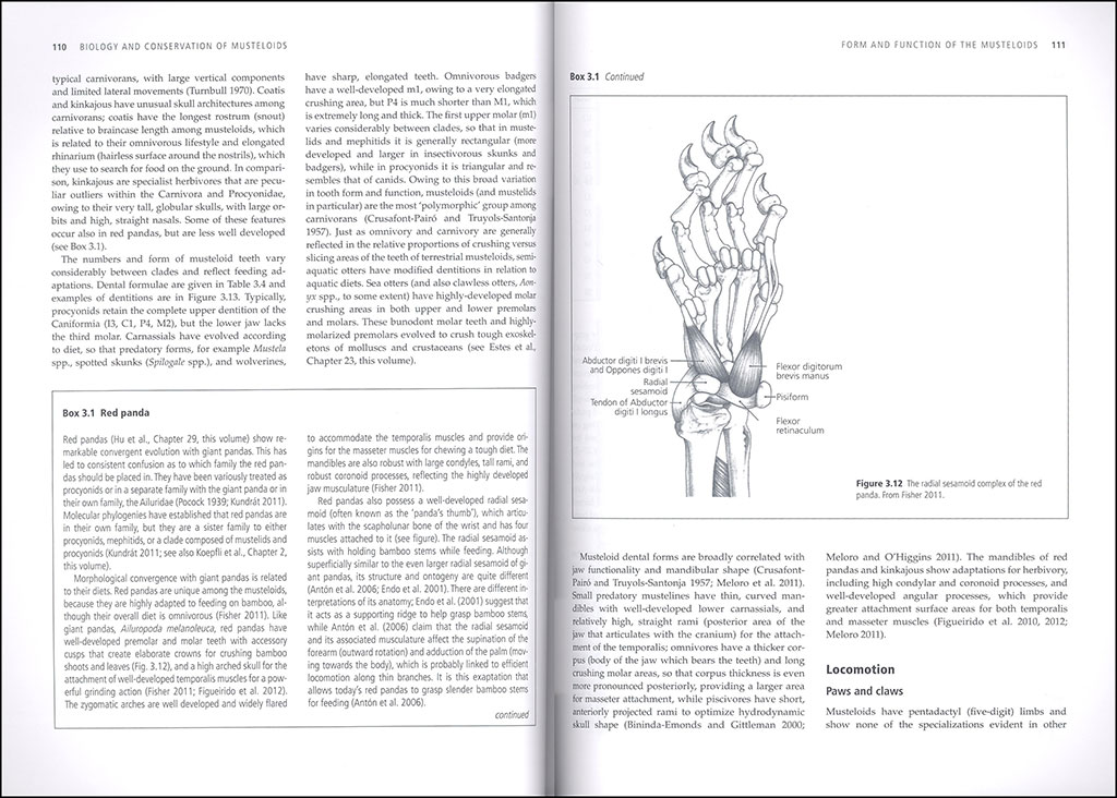 BIOLOGY AND CONSERVATION OF MUSTELOIDS 3