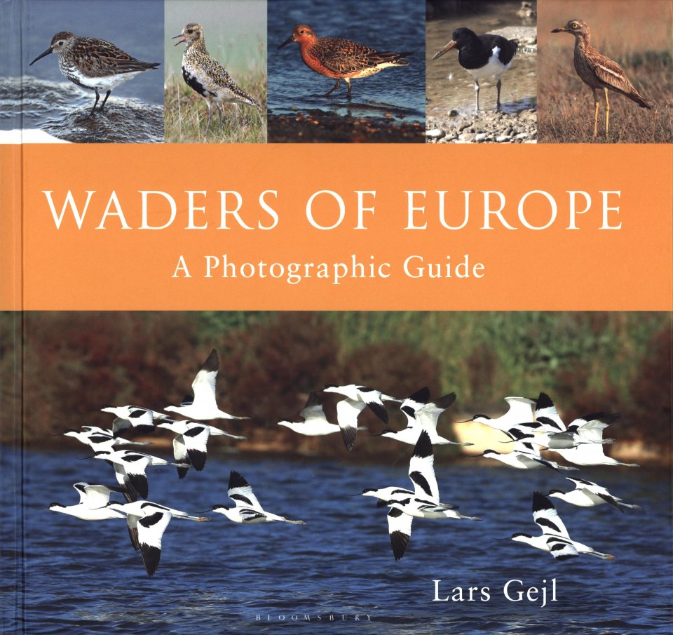 WADERS OF EUROPE. A PHOTOGRAPHIC GUIDE 1