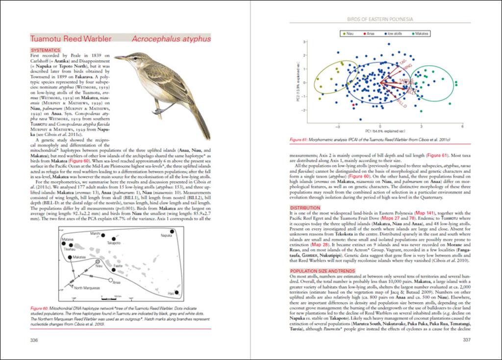 BIRDS OF EASTERN POLYNESIA. A BIOGEOGRAPHIC ATLAS 3