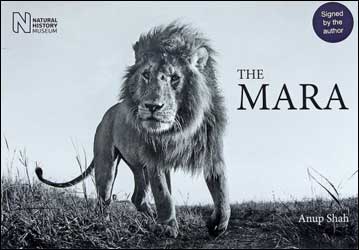 THE MARA 1