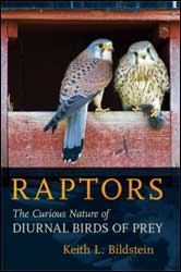 RAPTORS. THE CURIOUS NATURE OF DIURNAL BIRDS OF PREY 1