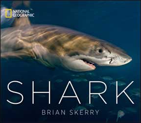 SHARK