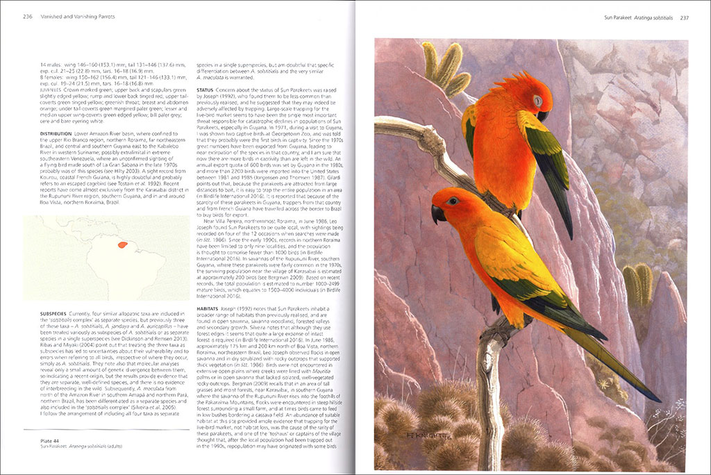 VANISHED AND VANISHING PARROTS. PROFILING EXTINCT AND ENDANGERED SPECIES 3