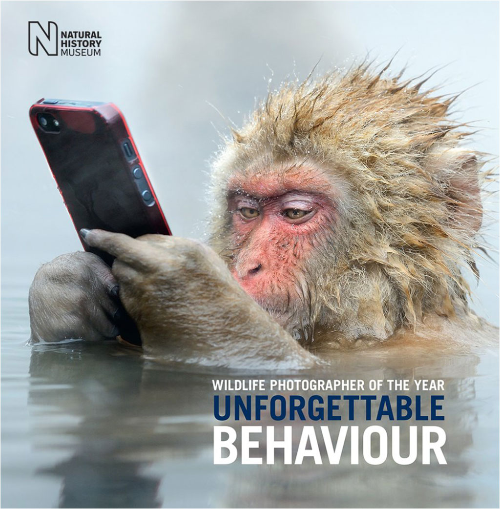 WILDLIFE PHOTOGRAPHER OF THE YEAR UNFORGETTABLE BEHAVIOUR