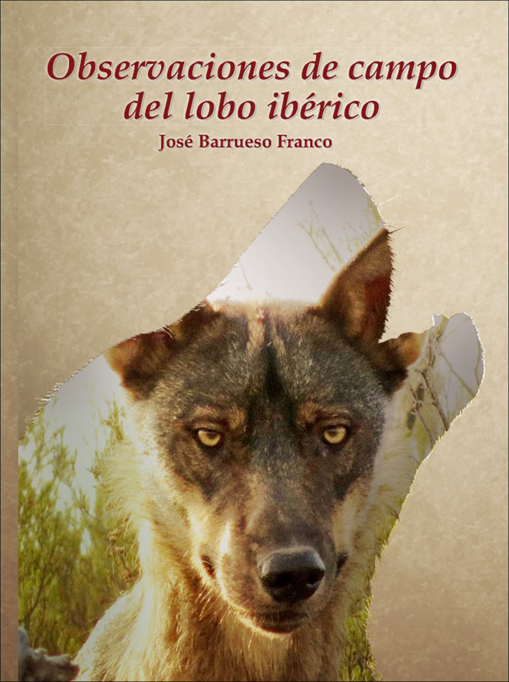 OBSERVACIONES DE CAMPO DEL LOBO IBÉRICO 1