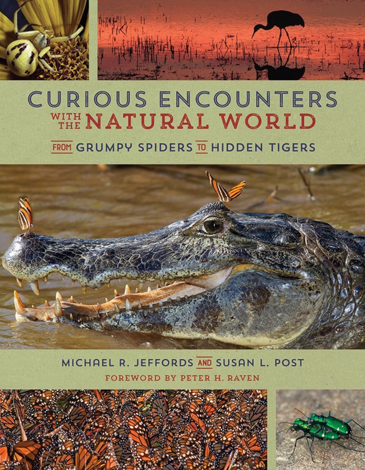 CURIOUS ENCOUNTERS WITH THE NATURAL WORLD. FROM GRUMPY SPIDERS TO HIDDEN TIGERS