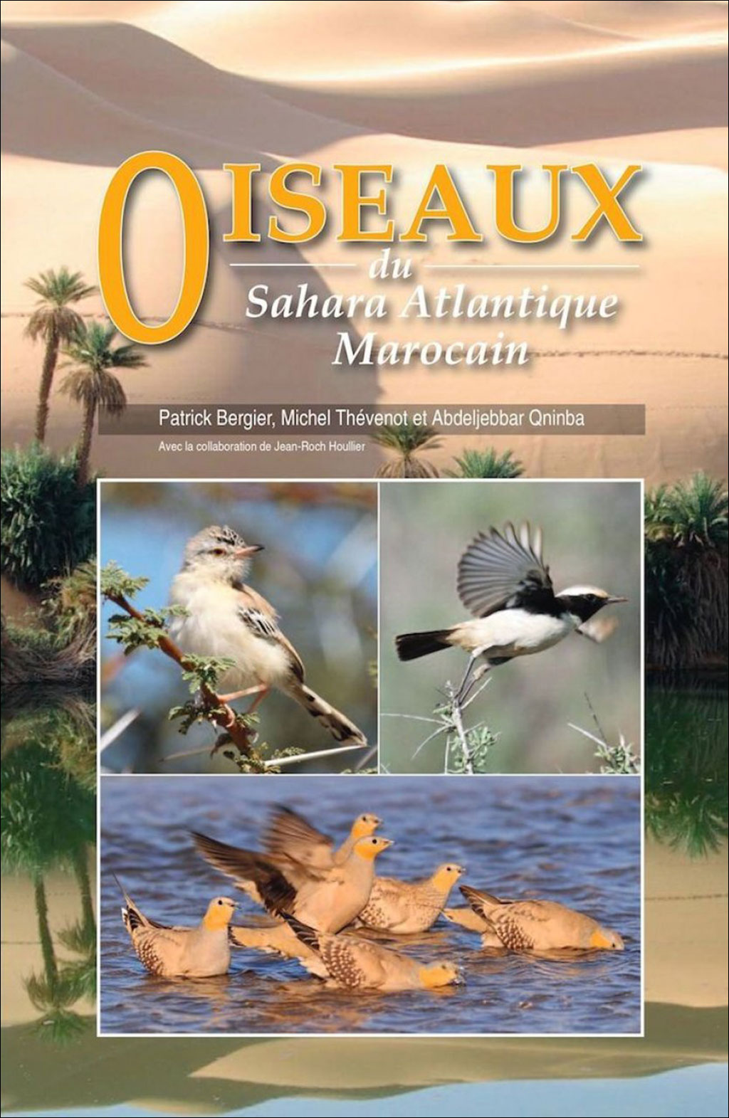 OISEAUX DU SAHARA ATLANTIQUE MAROCAIN