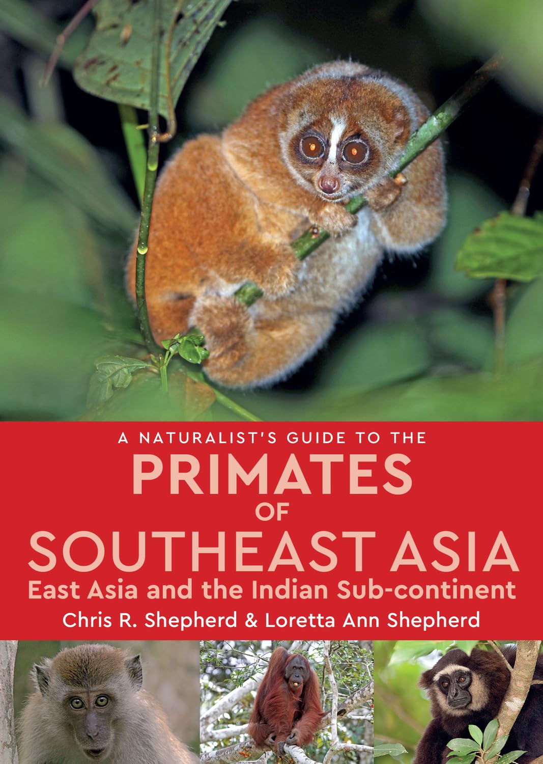 A NATURALIST'S GUIDE TO THE PRIMATES OF SOUTHEAST ASIA, EAST ASIA AND THE INDIAN SUBCONTINENT