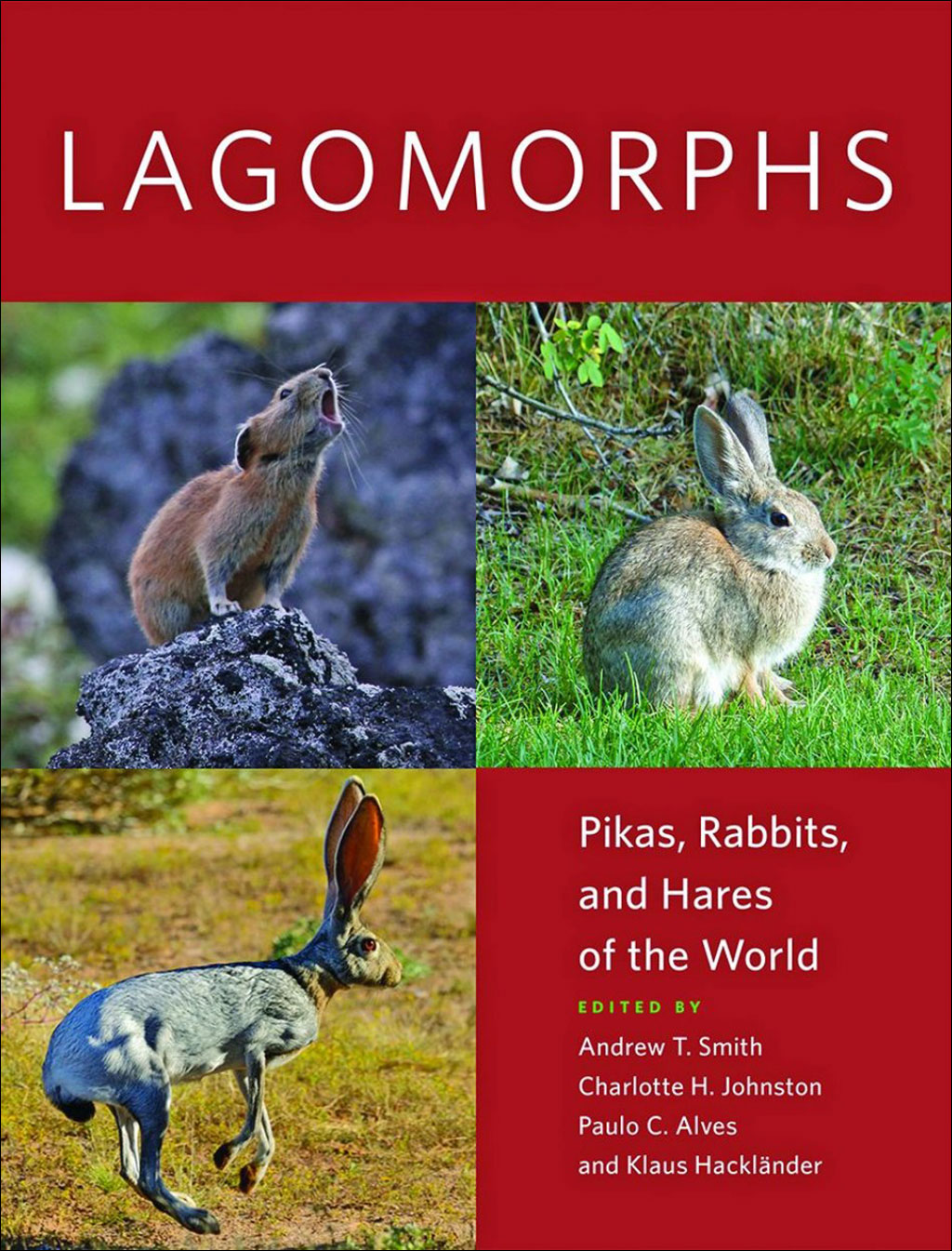 LAGOMORPHS: PIKAS, RABBITS, AND HARES OF THE WORLD