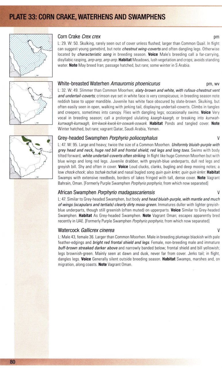 HELM FIELD GUIDES. BIRDS OF OMAN 5