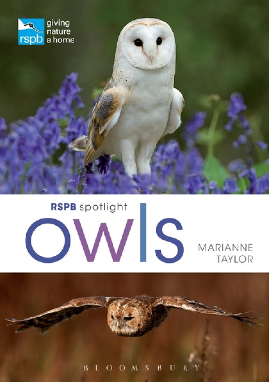 RSPB SPOTLIGHT: OWLS