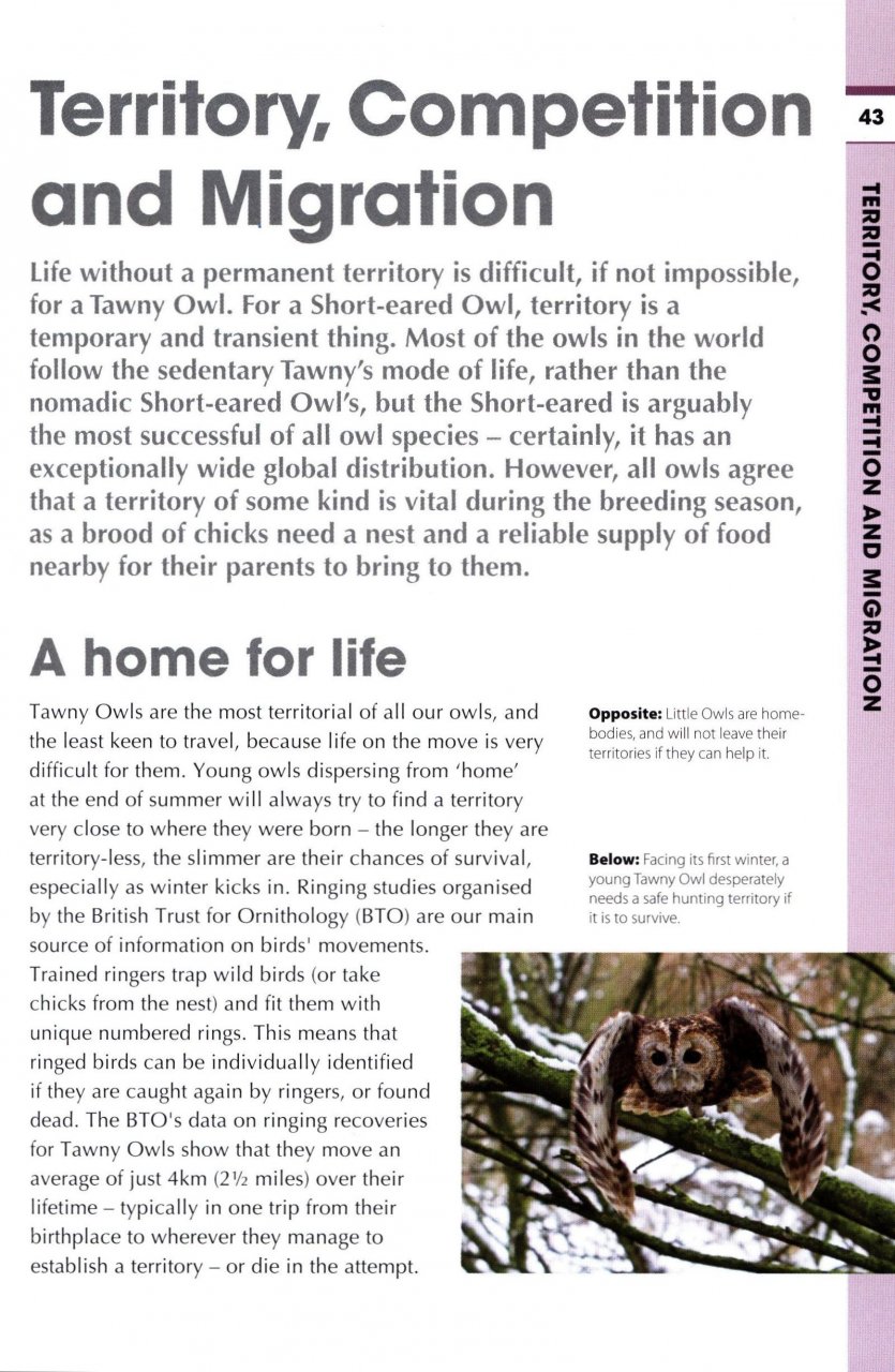 RSPB SPOTLIGHT: OWLS 2