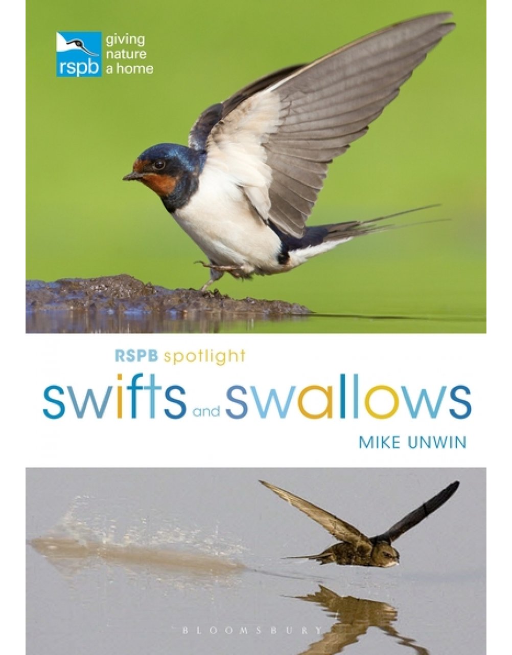 RSPB SPOTLIGHT: SWIFTS AND SWALLOWS 1