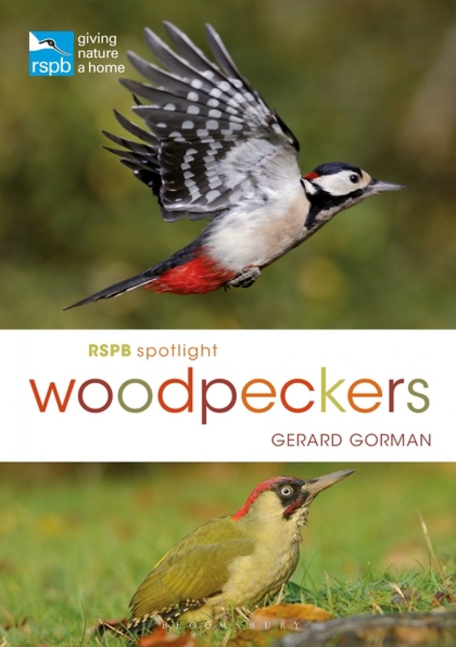RSPB SPOTLIGHT: WOODPECKERS 1