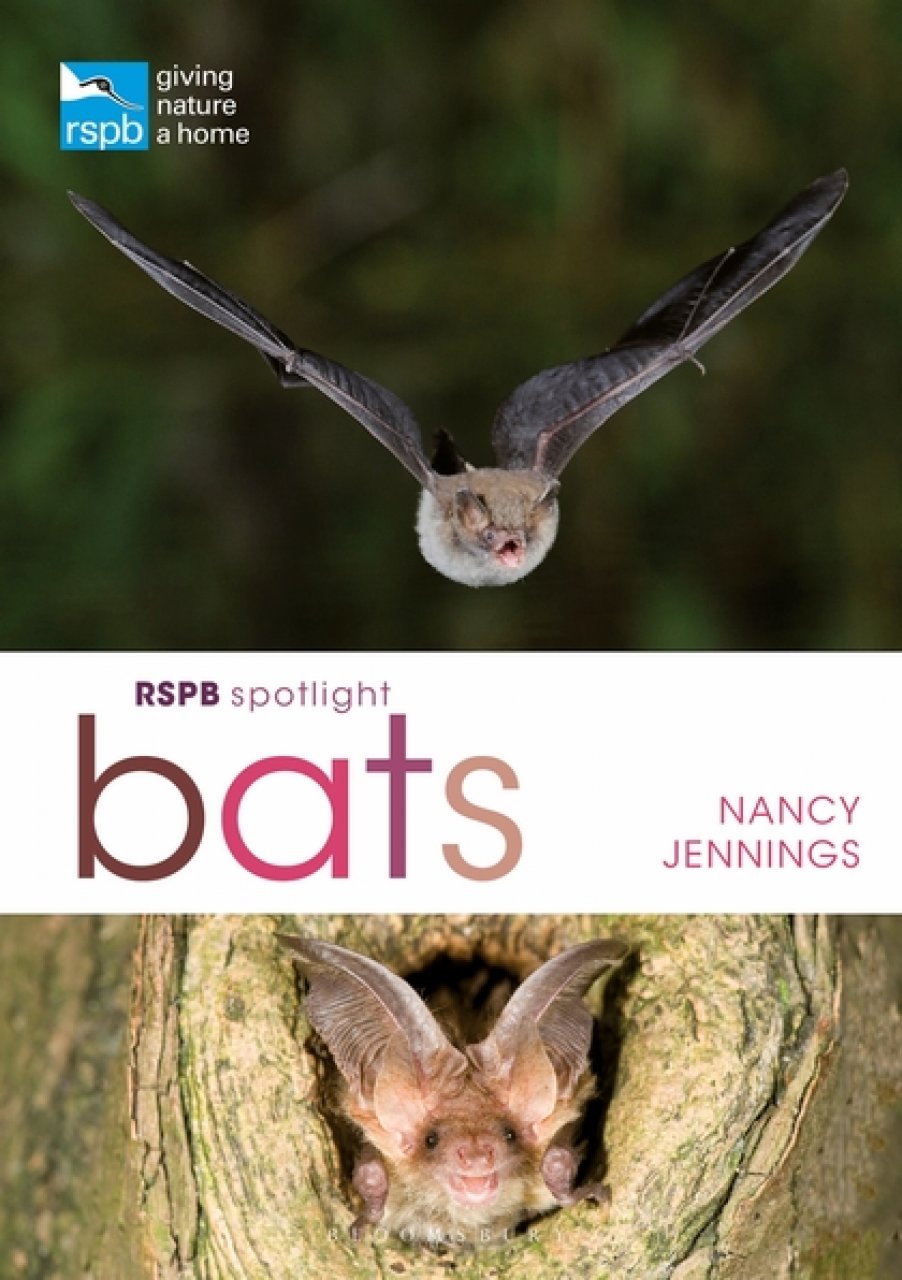 RSPB SPOTLIGHT: BATS 1