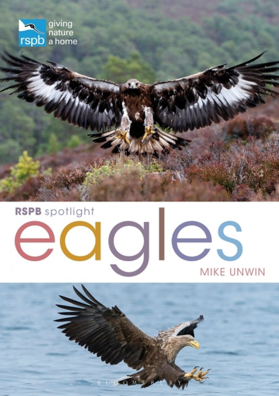 RSPB SPOTLIGHT: EAGLES 1